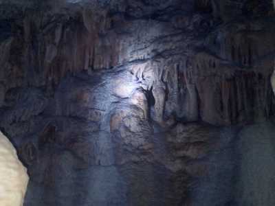 Speleotema della testa di un elefante